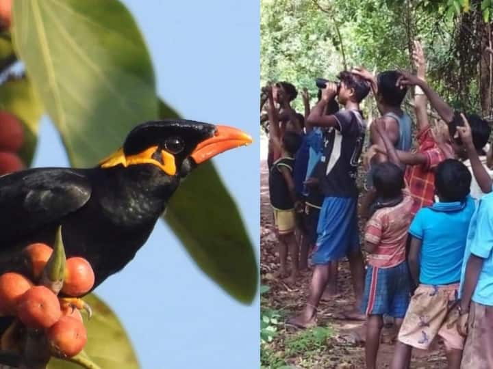 Bastar News: बस्तर में रंग लाई मैना मित्र की पहल, नेशनल पार्क में बढ़ रही राजकीय पक्षी की संख्या Bastar Myna Mitra initiative in Bastar, number of state birds is increasing in National Park Chhattisgarh ANN Bastar News: बस्तर में रंग लाई मैना मित्र की पहल, नेशनल पार्क में बढ़ रही राजकीय पक्षी की संख्या