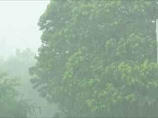 Rain : पूर्व विदर्भात झालेल्या अतिवृष्टीमुळे शेतीचा खरीप हंगाम 90 टक्के संपल्यात जमा; सुनिल केदारांचा दावा