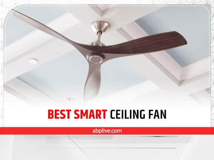 Ceiling Fan: गर्मियों के बाद अब मॉनसून आ चुका है, लेकिन दोपहर में अभी भी गर्मी पड़ रही है. बारिश में देखा जाता है कि घर में उमस बढ़ जाती है. ऐसे में ठंडक पाने के लिए सीलिंग फैन की जरूरत पड़ती है.