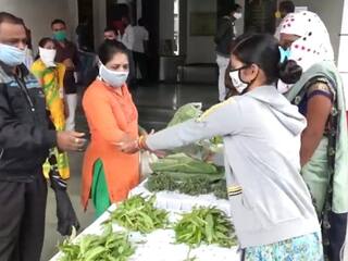 Nashik : नाशिककरांनाही रानभाज्यांची चव चाखता येणार, पंचायत समितीत खास रानभाज्या महोत्सव