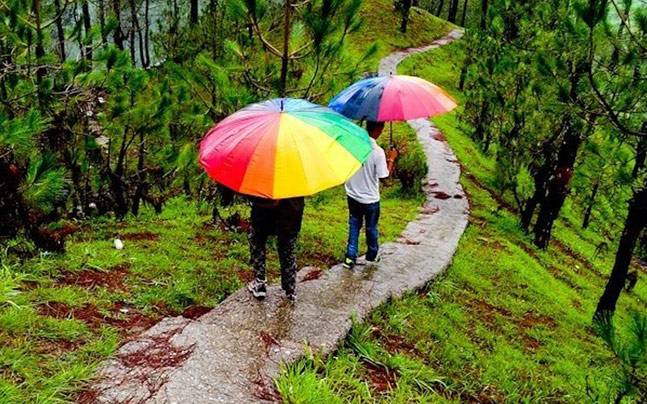 Monsoon Travel: சில்லென மழையில் சிலுசிலுனு டூர் போக ப்ளானா? உங்களுக்கான டிப்ஸ் இதோ!