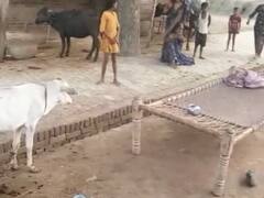 Kaushambi News: बच्चों के विवाद में दबंगों ने दलित परिवार को बेरहमी से पीटा, पुलिस पर लगाया ये बड़ा आरोप