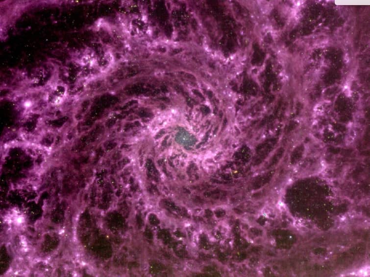 Astronomer Creates Breathtaking Image Of Purple Phantom Galaxy Using Data From James Webb Space Telescope Astronomer Creates Breathtaking Image Of 'Phantom Galaxy' Using Data From James Webb Space Telescope