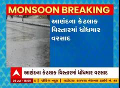આણંદ: વાદળ છાયા વાતાવરણ વચ્ચે વરસાદનું આગમન