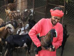Dairy Farming: गाय-भैंस को भी टक्कर दे रही हैं बकरी की ये किस्में, जानें इन शानदार नस्लों के बारे में