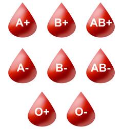 Blood Group : ਇਸ ਬਲੱਡ ਗਰੁੱਪ ਦੇ ਲੋਕ ਹੁੰਦੇ ਹਨ ਸਭ ਤੋਂ ਤੇਜ਼ , ਉਨ੍ਹਾਂ ਦੀ ਸੋਚਣ ਸ਼ਕਤੀ ਹੁੰਦੀ ਹੈ ਚੰਗੀ