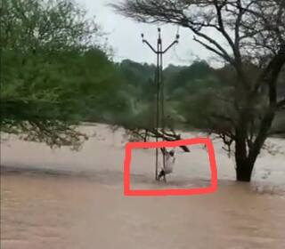 Nashik Igatpuri News : पुराच्या पाण्यातून पोहत केला वीज पुरवठा सुरळीत, इगतपुरीतील कर्मचाऱ्याचा थरारक व्हिडिओ 