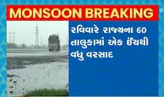રાજ્યમાં આજે ચાર જિલ્લામાં વરસાદનુ ઓરેંજ એલર્ટ,રવિવારે 60 તાલુકામાં એક ઈંચથી વધુ વરસાદ