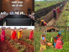 Chhattisgarh News: छत्तीसगढ़ में गौठानो को किया जा रहा मॉडर्न, बड़े पैमाने पर महिला समूह करेंगे खेती