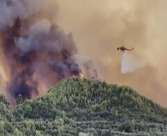 ગ્રીસના જંગલોમાં લાગી ભીષણ આગ, હેલિકોપ્ટરથી હજારો લિટર પાણીથી આગ બુઝાવવાના પ્રયાસ