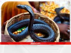 Nag Panchami 2022 Puja: नागपंचमी पर अपनी राशि के अनुसार करें नागदेव की पूजा, मिलेगा कुंडली में हर दोष से छुटकारा