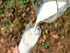 Raw milk: పచ్చి పాలు తాగడం సురక్షితమేనా? పచ్చిగా తాగడం వల్ల సమస్యలు వస్తాయా?