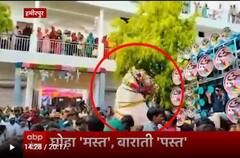 Hamirpur: बारात में DJ पर घोड़े का धमाकेदार डांस, आधा दर्जन से अधिक बाराती घायल