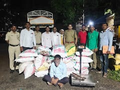 Beed Crime : पोलिसांची चंदन तस्करांवर मोठी कारवाई, 21 लाखांचा मुद्देमाल जप्त, दहा जणांविरुद्ध गुन्हा