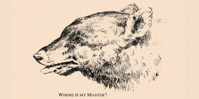 Optical Illusion to Test Your Brain Can you spot Bear’s Master in 20 Seconds Optical Illusion: ভালুকের মুখেই লুকিয়ে রয়েছে তার 'মাস্টার', ওই ব্যক্তিকে খুঁজে পেলেন আপনি?