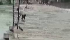 MP, राजस्थान और गुजरात से लेकर उत्तराखंड,हिमाचल तक बारिश-बाढ़ का तांडव