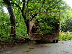 Mumbai Aarey : मुंबई : आरे कॉलनीमध्ये झाडांची छाटणी सुरू, वाहतुकीसाठी रस्ता बंद; पाहा फोटो