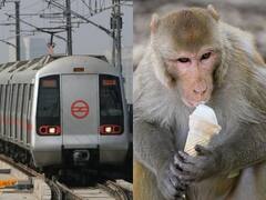 Delhi Metro: मेट्रो स्टेशनों पर बंदरों का आतंक, DMRC ने भगाने के लिए गार्ड तैनात किए