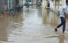 પાલનપુરઃ ધાનેરાની અનેક સોસાયટીઓ થઈ પાણી પાણી, સામાન્ય વરસાદમાં જ સર્જાઈ આવી સ્થિતિ