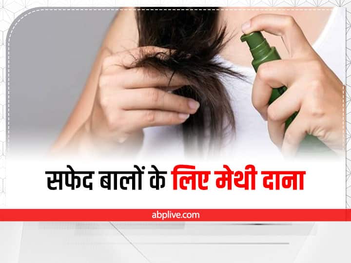 how to use fenugreek seeds for white hair White Hair : मेथी से करें सफेद बालों की परेशानी दूर, इन तरीकों से करें इस्तेमाल