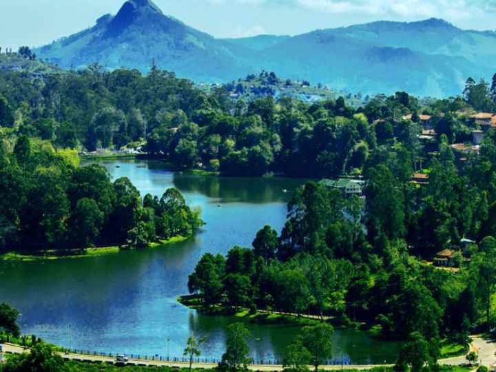 Kodaikanal: குப்பை கொட்டும் மையத்தை  மூட கோரி வழக்கு... பொங்கி எழுந்த நீதிபதி!