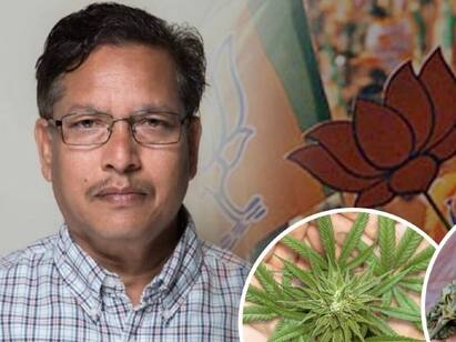 Smoke Cannabis, Avoid Alcohol: BJP MLAs Advice On Preventing Crimes BJP MLA On Cannabis : ”மதுவுக்கு நோ சொல்லிட்டு, கஞ்சாவுக்கு ஓகே சொல்லுங்க..” : சொல்கிறார் இந்த பாஜக எம்.எல்.ஏ..