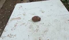 Pune Bomb News: पुण्यातील मांजरी परिसरात पून्हा एकदा आढळली बाॅम्ब सदृश वस्तु; पोलीसांकडून तपास सुुरु