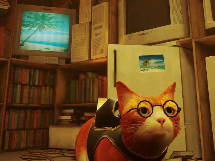 Stray Mods: Now Play As Garfield, CJ From GTA, More; How To Install