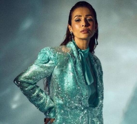 मलायका अरोराच्या या गोष्टीबद्दल माहिती आहे का?