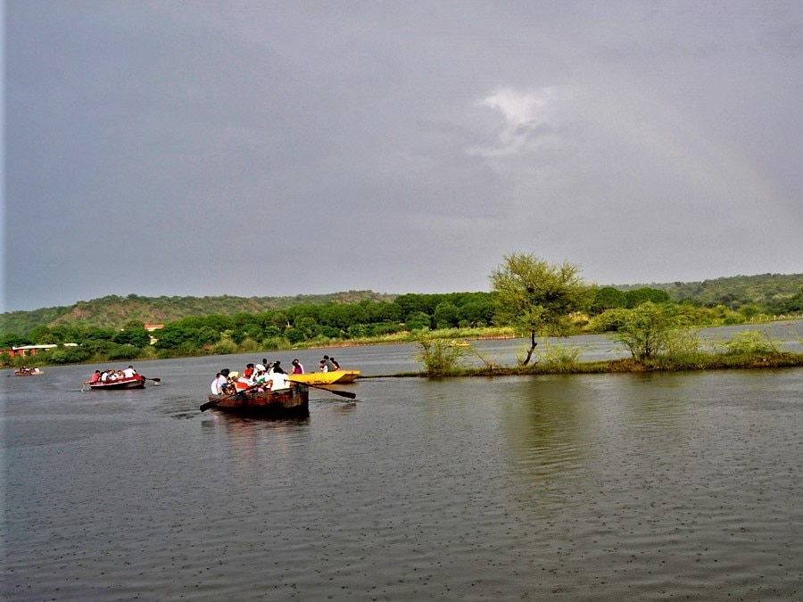 Delhi Sultanpur Lake, Bhardwaj Lake, Damdama Lake These Are The Best Picnic Spots Near Delhi, Must Visit On Weekends | Lakes Near Delhi: दिल्ली के पास ये हैं बेहतरीन पिकनिक स्पॉट्स, एक
