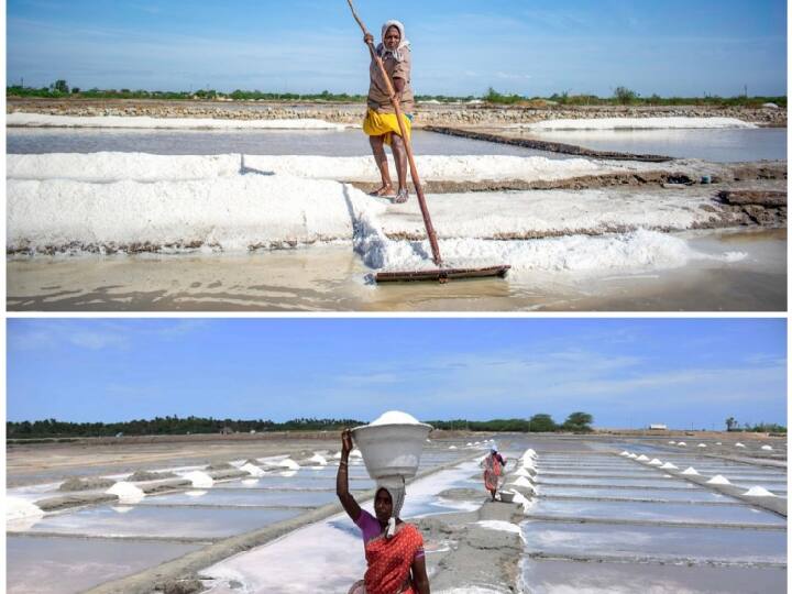 Thoothukudi: Rainy Season Relief Amount Govt Notification Thankful Salt Workers தூத்துக்குடி: மழைக்கால நிவாரண தொகை  - அரசுக்கு நன்றி கூறும் உப்பள தொழிலாளர்கள்..!