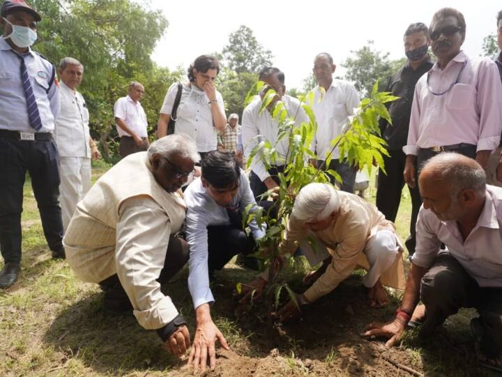 Delhi green area increased by 23 percent in Minister Rajendra Pal advised to planting ANN Delhi News: दिल्ली का वन क्षेत्र बढ़कर 23% से ज्यादा हुआ, मंत्री राजेंद्र पाल की अपील- ज्यादा से ज्यादा पौधे लगाएं