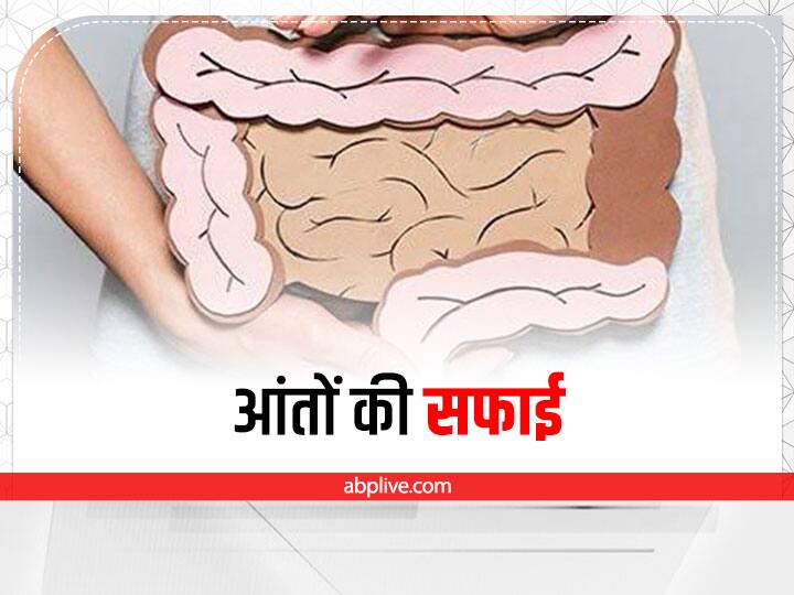 Clean Intestine Shankh Prakshalan How To Improve Digestion Clean Intestine: जरूरी है आंतों की सफाई, साल में सिर्फ तीन बार करें ये आसान काम