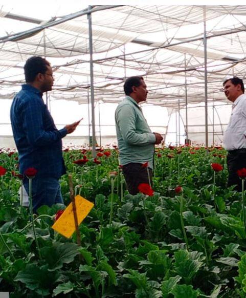 प्राध्यापकाची नोकरी सोडून तरुणानं केली यशस्वी शेती