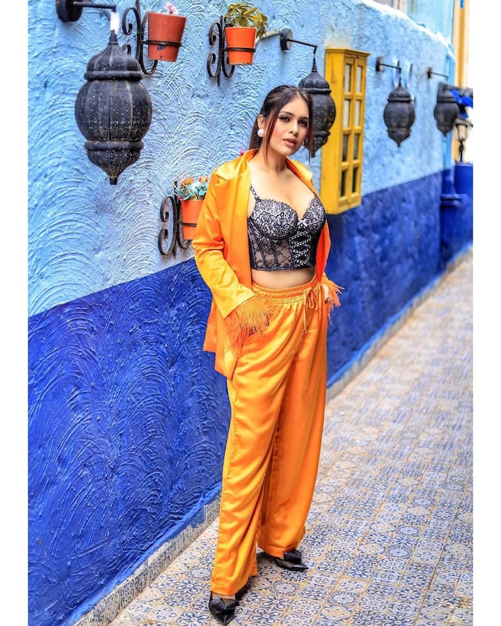 આ તસવીરોમાં નેહાનો ખૂબ જ હોટ અંદાજ જોવા મળ્યો છે. નેહા મલિકનો આ ગ્લેમરસ અંદાજ ફેન્સને પસંદ આવ્યો છે. ફેન્સ નેહાની તસવીરોને લાઈક કરી રહ્યા છે.