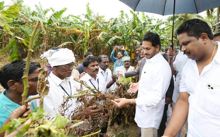 అరిగెలవారిపేట వరద బాధితులు చూపిస్తున్న పంటను పరిశీలించిన సీఎం జగన్