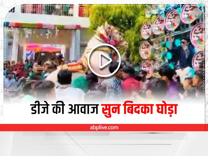 up news horse became uncontrollable, trampled many barati in hamirpur ann Watch: बारात में डीजे की आवाज सुनकर घोड़ा हुआ बेकाबू, कई बारातियों को रौंदा, 6 से ज्यादा लोग घायल