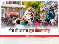 Watch: बारात में डीजे की आवाज सुनकर घोड़ा हुआ बेकाबू, कई बारातियों को रौंदा, 6 से ज्यादा लोग घायल