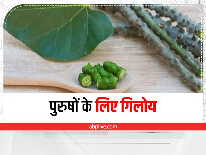 Giloy Health benefits for Men in Hindi Health Tips : पुरुषों के लिए फायदेमंद है गिलोय, इन समस्याओं से दिलाता है छुटकारा