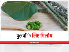Health Tips : पुरुषों के लिए फायदेमंद है गिलोय, इन समस्याओं से दिलाता है छुटकारा