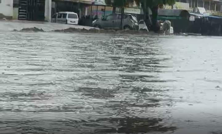 Gujarat Rains: ધાનેરામાં ગત રાત્રેથી મેઘમહેર યથાવત છે. ધાનેરાની સોસાયટીઓ અને રોડ રસ્તા ઉપર પાણી જ પાણી છે.