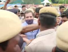 National Herald Case: Police detains Rahul Gandhi, watch visuals | ABP News