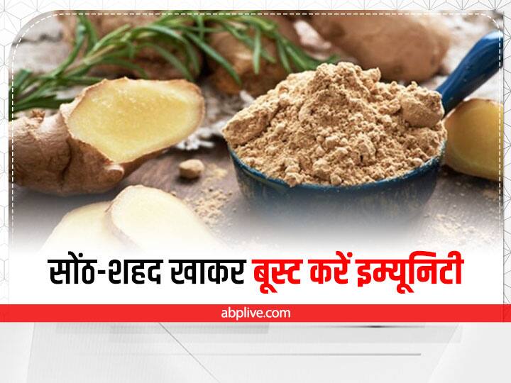 Dry Ginger Powder With Honey Benefits Ginger And Honey For Cold Boost Your Immunity Boost Immunity: बारिश में मौसम में बीमारियों से बचना है तो खाएं सोंठ और शहद, जानिए फायदे