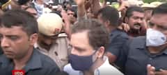 National Herald Case: Rahul Gandhi taken under custody | ABP news