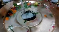 Sawan Shivratri 2022: सावन की शिवरात्रि पर Haridwar से आई ये तस्वीर मोह लेगी आपका मन !