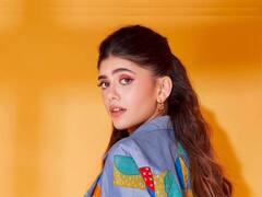 PHOTO: अभिनेत्री संजना संघीचा क्लासी अंदाज; नव्या फोटोत दिसतेय खास!