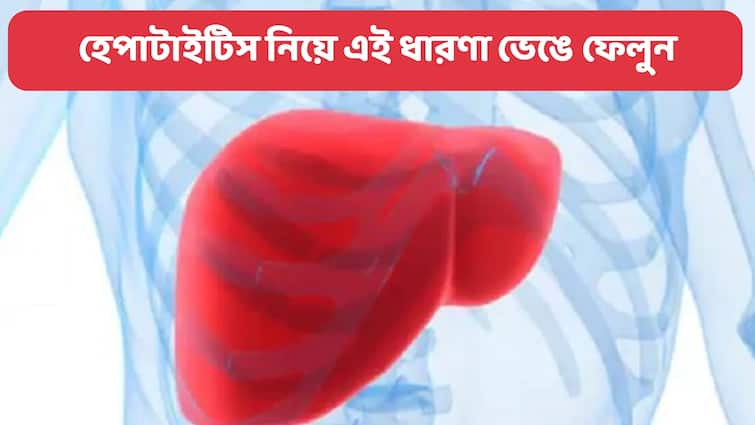 World Hepatitis Day 2022 the misconception  you need to eliminate World Hepatitis Day 2022: হেপাটাইটিস কি ছোঁয়াচে ? টিকায় আটকায় ? ভেঙে ফেলুন রোগ নিয়ে কিছু ভুল ধারণা