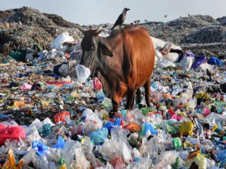 Maharashtra government bans plastic coated and laminated products Maharashtra News: प्लास्टिक कोटेड और लेमिनेटेड उत्पादों पर महाराष्ट्र में लगा बैन, इस्तेमाल किया होगी यह कार्रवाई
