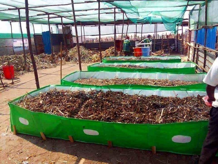 Vermicompost in deals hindi