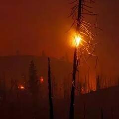 California wildfires: கலிபோர்னியாவில் கொழுந்து விட்டு எரியும் காட்டுத்தீ ! பதைபதைக்க வைக்கும் புகைப்படங்கள்!